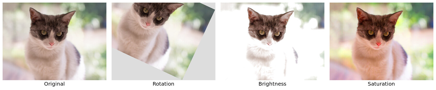 The same cat photo after rotation, brightness and saturation changes