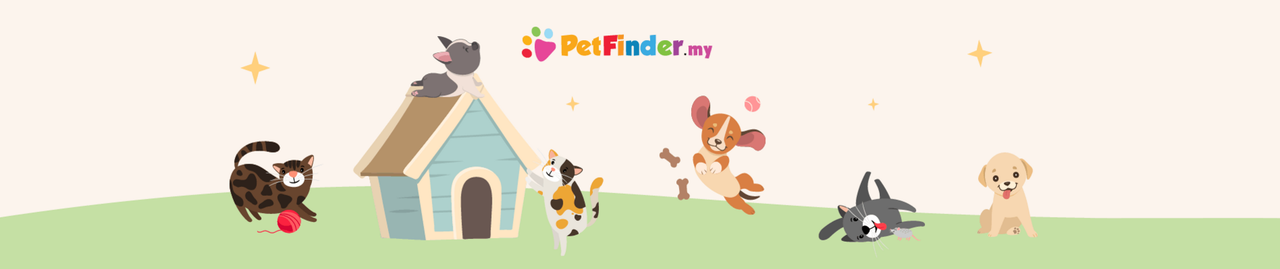 Pet adoption illustration